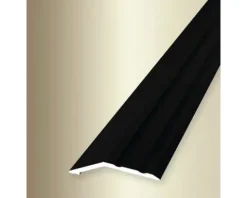 Ausgleichsprofil 244SK selbstklebend, Alu eloxiert schwarz 100 cm