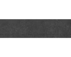 Feinsteinzeug Treppenstufe Alpen 29,8 cm x 120 cm x 0,9 cm graphite matt rektifiziert