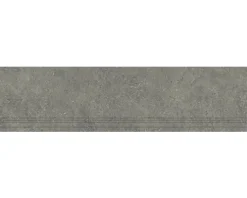 Feinsteinzeug Treppenstufe Alpen 29,8 cm x 120 cm x 0,9 cm grau matt rektifiziert