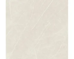 Feinsteinzeug Wand- und Bodenfliese Always Cream Natural 120x120 cm