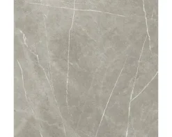 Feinsteinzeug Wand- und Bodenfliese Always Taupe Natural 120x120 cm