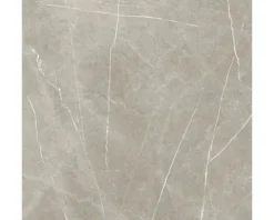 Feinsteinzeug Wand- und Bodenfliese Always Taupe Pulido 120x120 cm