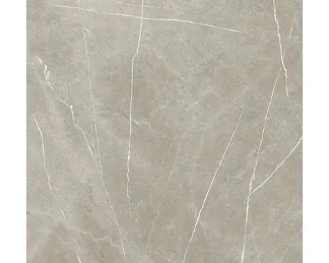 Feinsteinzeug Wand- und Bodenfliese Always Taupe Pulido 120x120 cm
