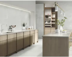 Feinsteinzeug Wand- und Bodenfliese Fresh Ash Natural 120x120 cm