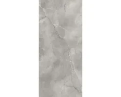 Feinsteinzeug Wand- und Bodenfliese Lido 279,7 x 119,7 cm silver poliert