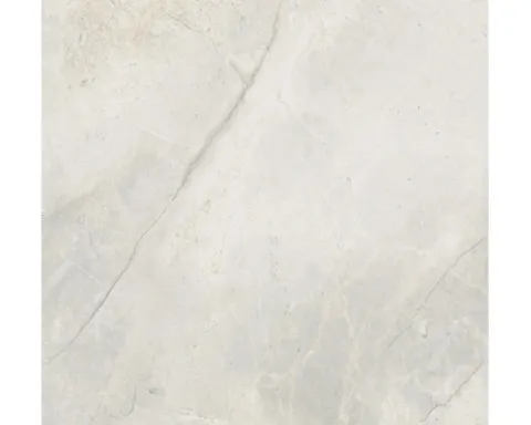 Feinsteinzeug Wand- und Bodenfliese Lido 119,7 x 119,7 x 0,8 cm weiß matt rektifiziert (Nenngröße 120x120 cm)