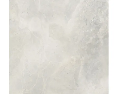 Feinsteinzeug Wand- und Bodenfliese Lido 119,7 x 119,7 x 0,8 cm weiß matt rektifiziert (Nenngröße 120x120 cm)