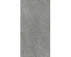 Feinsteinzeug Wand- und Bodenfliese MARSEILLE Dark grey rektifiziert 59.5 x 120 x 1 cm