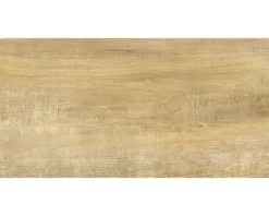 form & style Feinsteinzeug Wand- und Bodenfliese FORLI honey 31 x 62 x 0,74 cm