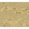 Handmuster zu Korkboden Naturtrend Wild Sand 910 x 300 x 9,5 mm