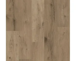 Laminat 8.0 Wildlife