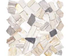 Natursteinmosaik Bruch/Ciot mix wood stone fossil