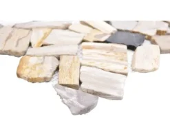 Natursteinmosaik Bruch/Ciot mix wood stone fossil