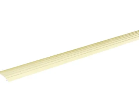 SKANDOR Anpassungsprofil champagner eloxiert selbstklebend 4,5x40x900 mm