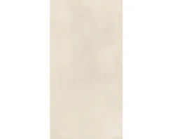 Wand- und Bodenfliese Terra sabbia 60x120 cm matt rektifiziert