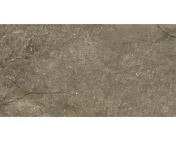 Wand- und Bodenfliese Wells moka matt 30x60cm