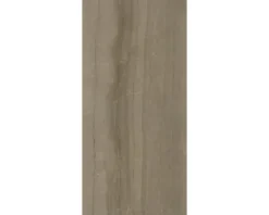 XXL Feinsteinzeug Wandfliese Living Cinnamon 120 x 260 x 0,7 cm poliert braun