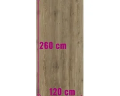 XXL Feinsteinzeug Wand- und Bodenfliese Count Henna 120x260 cm