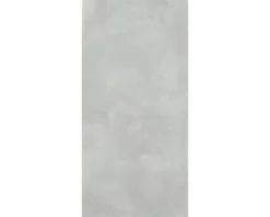 XXL Feinsteinzeug Wand- und Bodenfliese Fresh Ash Pulido 120x260 cm