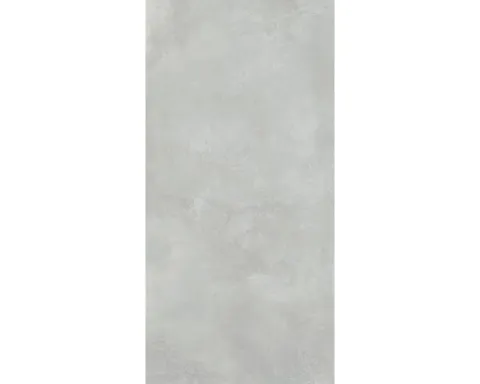 XXL Feinsteinzeug Wand- und Bodenfliese Fresh Ash Pulido 120x260 cm