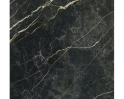 XXL Wand- und Bodenfliese Darkstone Forest Pulido 120x120 cm
